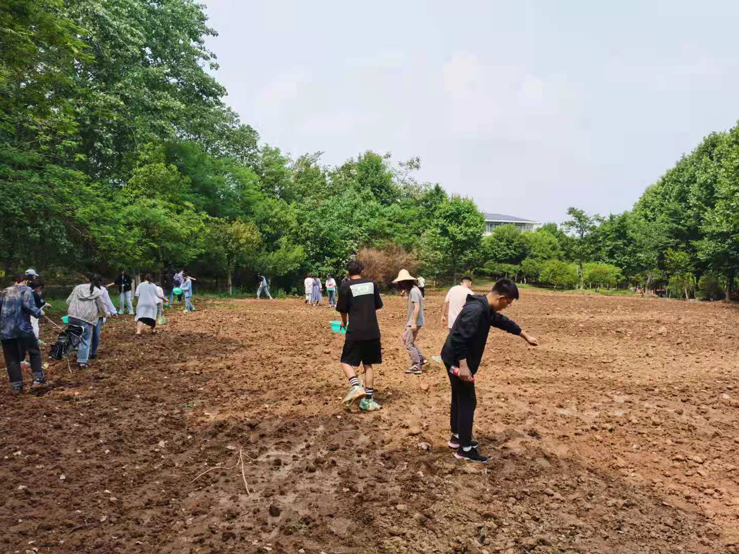 艺术革新，劳动科技赋能创作画新,劳动科技与创作画结合的示例,劳动科技创作画,第1张
