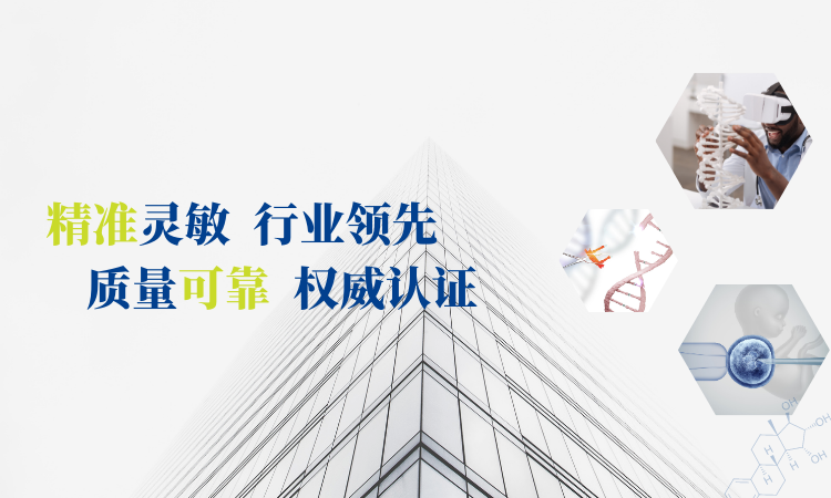 阅尔科技，创新引领，打造原声创作新标杆,阅尔科技创作原声,第1张